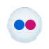 Flickr icon
